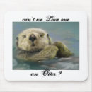 Search for the otter electronics Nature