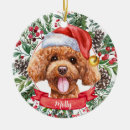 Search for cockapoo ornaments Poodle