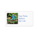 Search for correspondence return address labels Wildlife