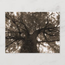 Recherche de appétit cartes postales Arbre
