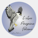 Recherche de faucon pérégrin autocollants Pour tous