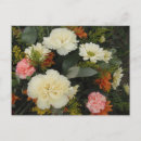 Search for carnation postcards Bouquet