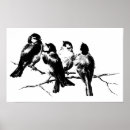 Search for black and white antique bird posters Birds