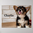 Search for cute corgi art Animal lover