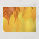 Recherche de motif symétrique cartes postales Symétrie