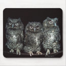 Search for owl images electronics Night