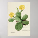Recherche de cactus art Dessin