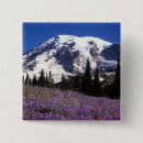 Search for summit buttons Landscape