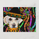 Recherche de chien de laboratoire cartes postales Laboratoires