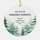 Search for new parents ornaments Christmas for family