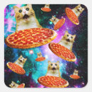Search for cats in space stickers Funny