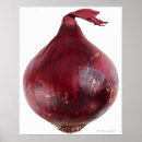 Search for red onion posters Food