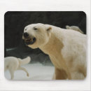 Search for grin electronics Wildlife