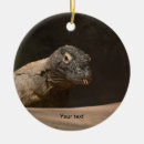Search for dragons ornaments Komodo dragon