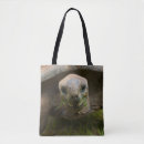 Search for tortoise bags Animals