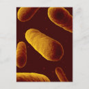 Recherche de biochimie cartes postales Microbe