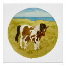 Recherche de poulain posters Poneys
