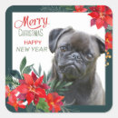 Search for black pugs stickers Animal