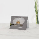 Recherche de la fleur blanche remercient Pour tous