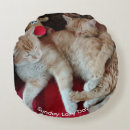 Search for lover photography Cat lovers