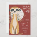 Search for born two be wild Animal