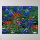 Search for bluebonnet art Texas