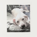 Recherche de petit chien art Labrador