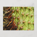 Search for prickly postcards Green