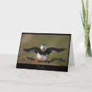 Search for flaps cards Bird