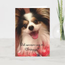 Search for papillon christmas cards Pets