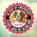 Recherche de chien aveugle Dog