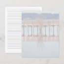 Search for reflective surface Reflection