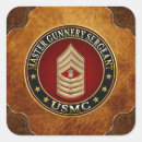 Search for military rank stickers Master gunnery sergeant 3d