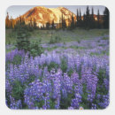 Search for alpine meadow stickers Mountain