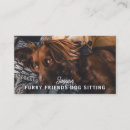 Recherche de dog walker cartes visite Soin des animaux