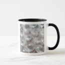 Recherche de pays basque tasses Automne