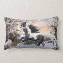 Recherche de gitans coussins Vanner