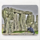 Search for jackdaws Standing stones