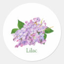Recherche de lilas rose autocollants Nature