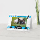 Search for from cats mothers day cards From the cat