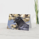Search for crowing cards Black