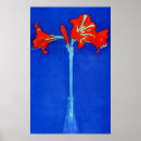 Recherche de amaryllis posters Mondrian