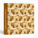 Search for ginger binders Cute