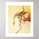 Search for houseplant posters Succulent
