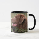 Search for chesapeake bay retriever mugs Dogs