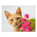 Recherche de chat de gingembre art Animal