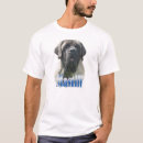 Search for mastiff tshirts Old english mastiff