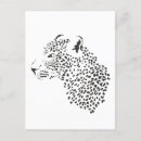 Search for black white leopard postcards Safari