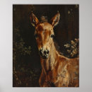 Search for cute foals posters Baby