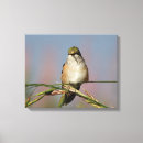 Search for wildlife canvas prints Green